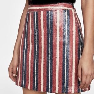 Zara- striped sequin skirt